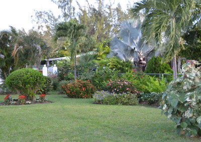 One of the gardens featured in the BHS 2016 Open Gardens Programme