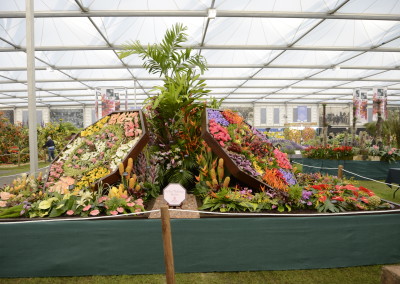 Sailors Valentine - Awarded Gold at RHS Chelsea Flower Show 2014