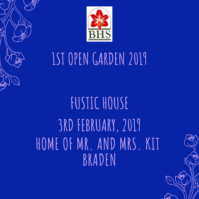 Fustic House Open Garden