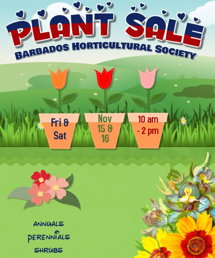 BHS Plant Sale