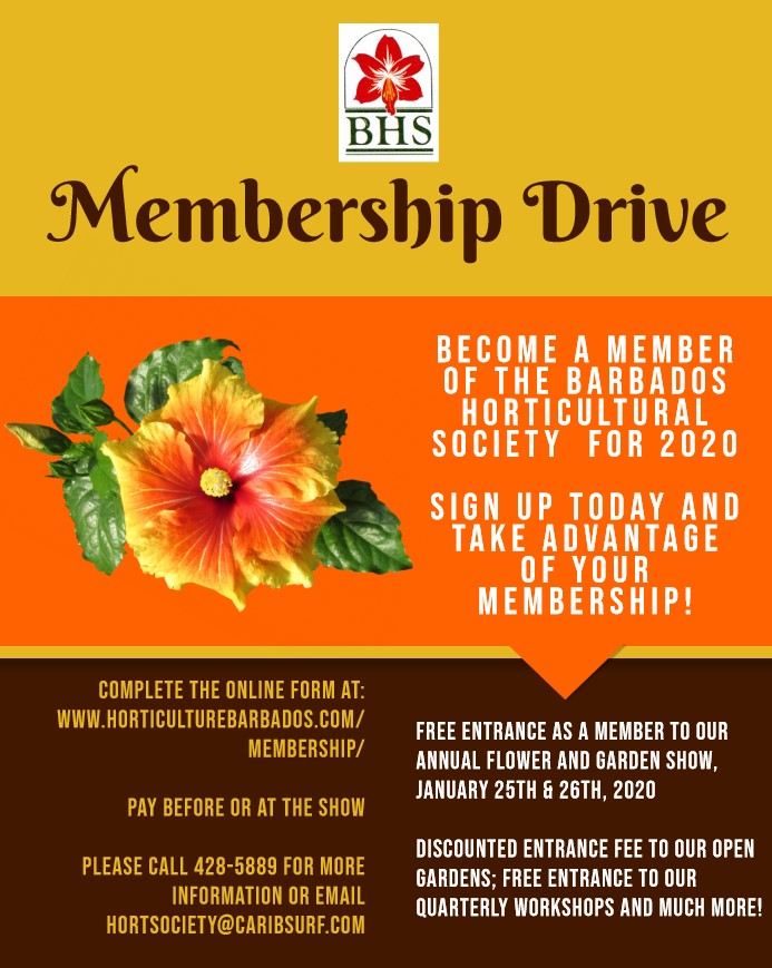 Membership Drive 2020
